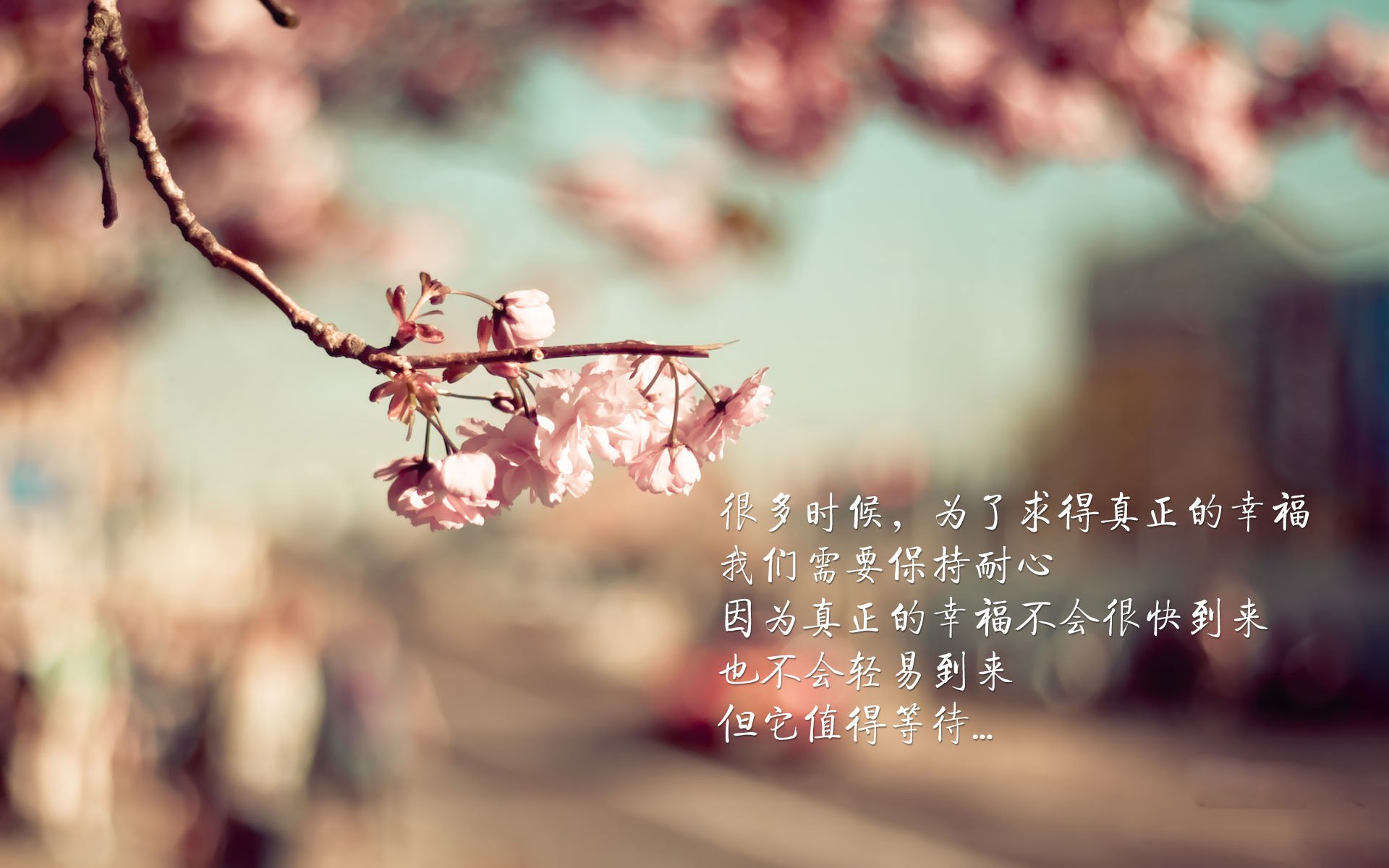 KPL战队训练营全力备战，kpl战队训练赛怎么打的