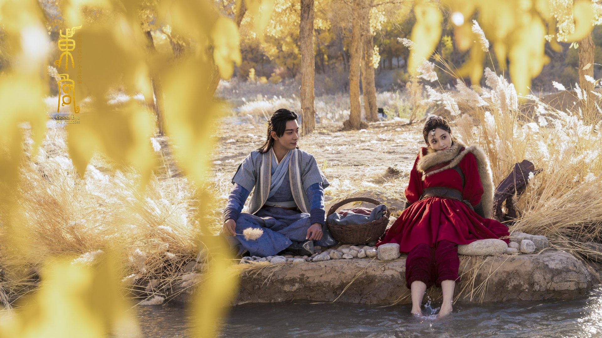 AYX官网-后场双核配合默契度排行榜，后场核心