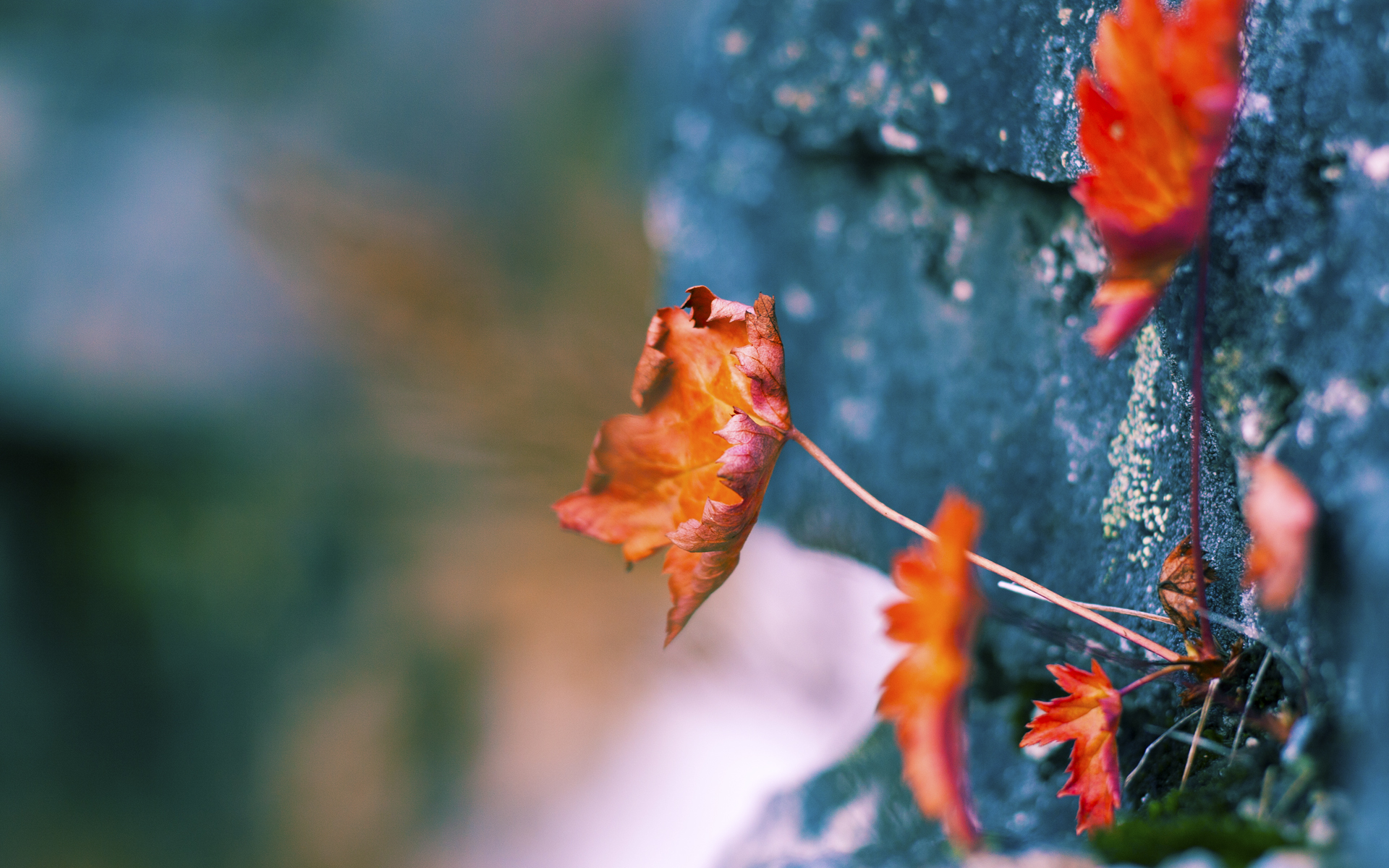 爱游戏官方网站-热刺连续进攻打出比赛主动权，热刺两连胜