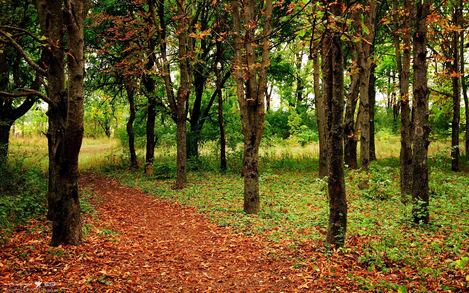 爱游戏体育APP下载-国家队重视定位球训练提升关键节点得分效率，定位球动作要领