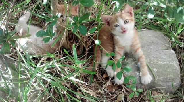 爱游戏-女子篮球青训注重防守战术提高整体防守水平，女子篮球队训练方法