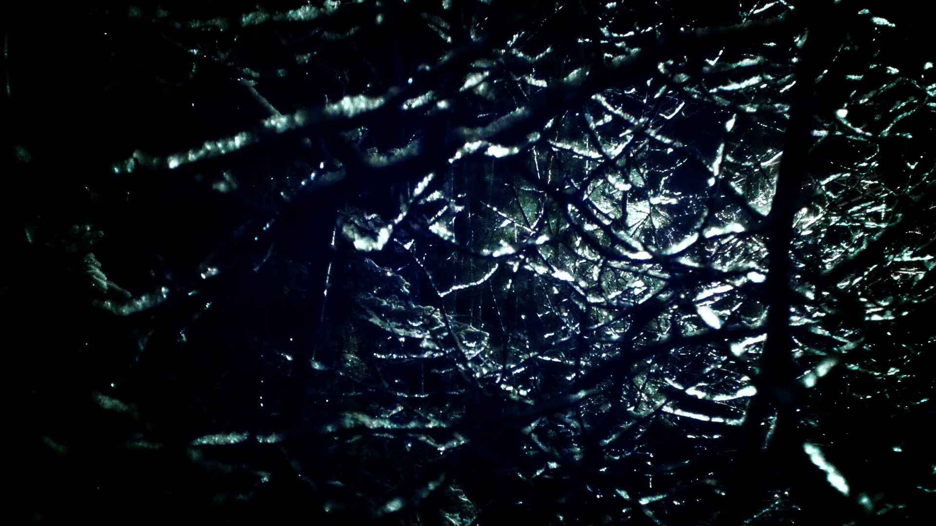 日本女篮在亚锦赛中夺得金牌，亮丽表现赢得赞誉