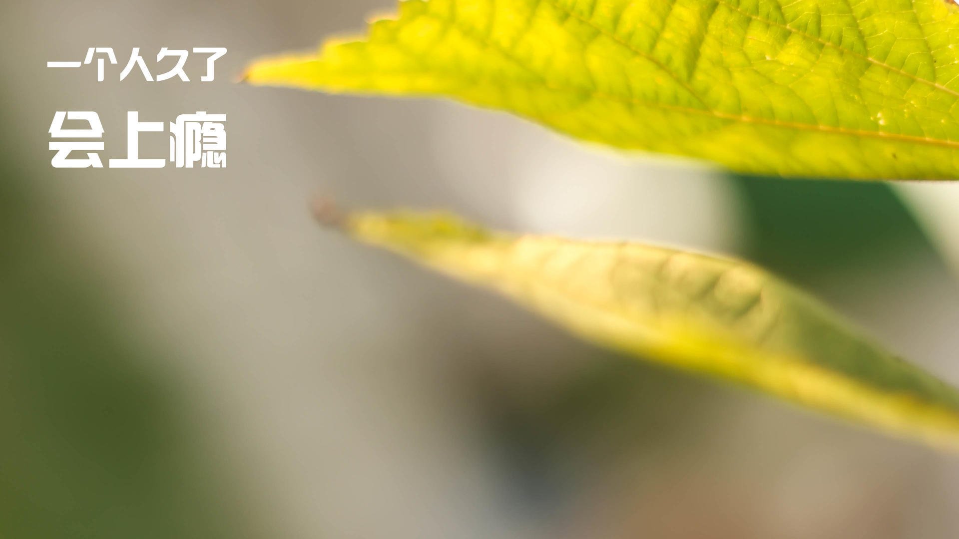 爱游戏体育（AYX）官方APP下载-足球运动走出大城市，乡村足球逐渐兴起，农村足球比赛